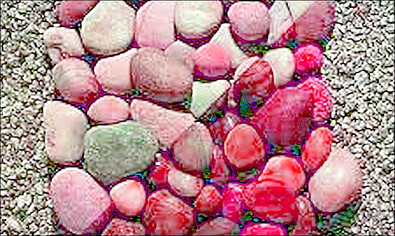 FZʯV,FZʯVω|