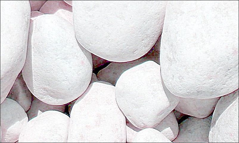 FZʯaS