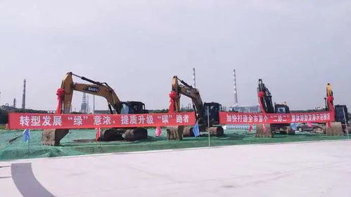 吸引企業(yè)紛紛飛回上海，金山這家園區(qū)有何奧秘——財(cái)務(wù)咨詢(xún)助力企業(yè)騰飛